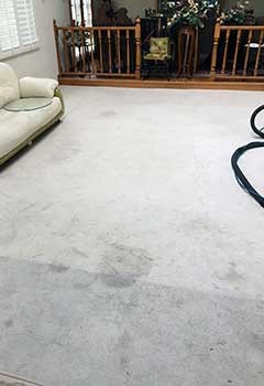 Burbank Carpet Cleaning Services