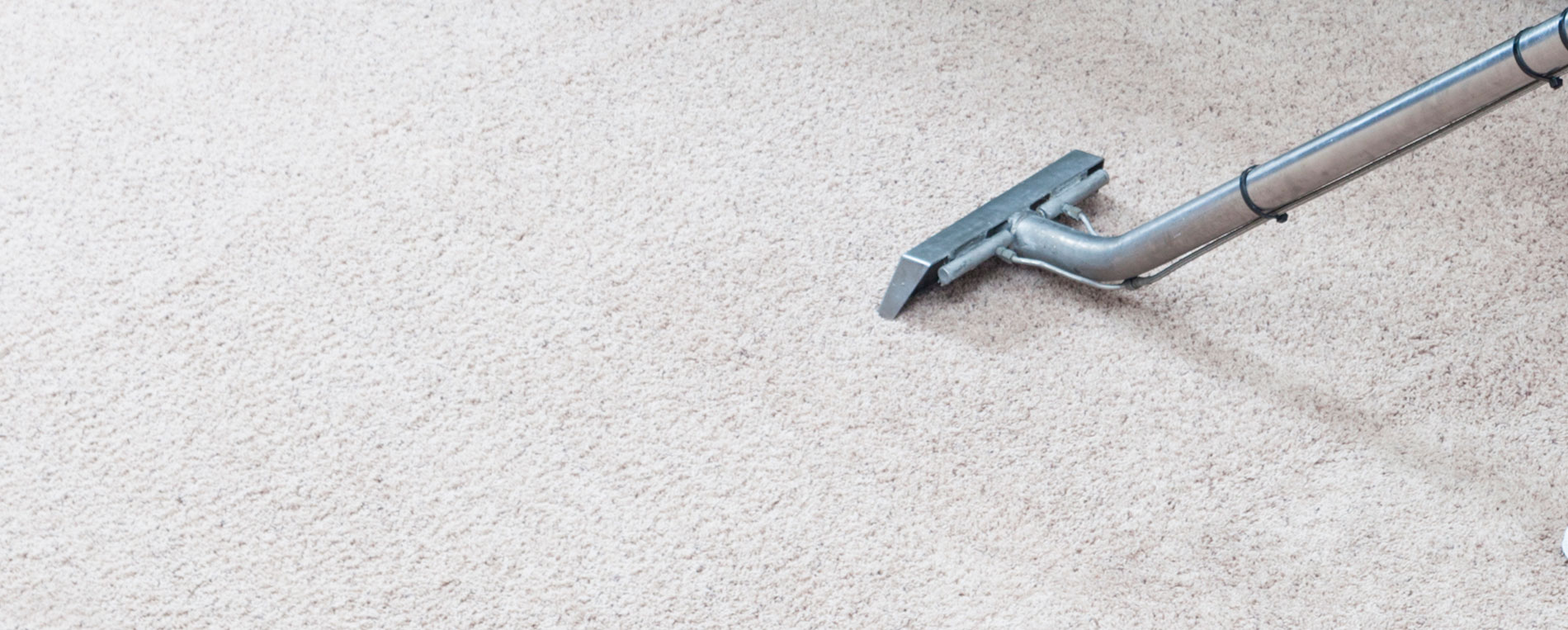 Choosing the Right Equipment for Your Carpet